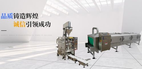 品質鑄造輝煌，誠信引領成功——達和榮藝包裝機械的卓越之路